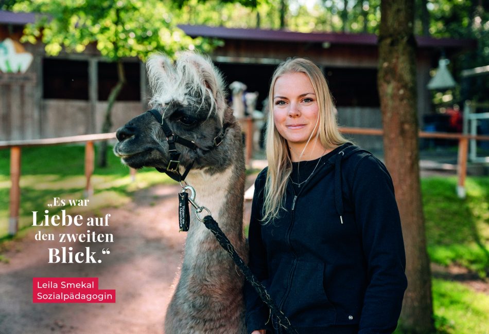 Displays-Website-Nr15-04