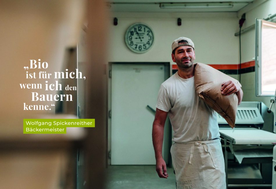 Displays-Website-Nr15-05