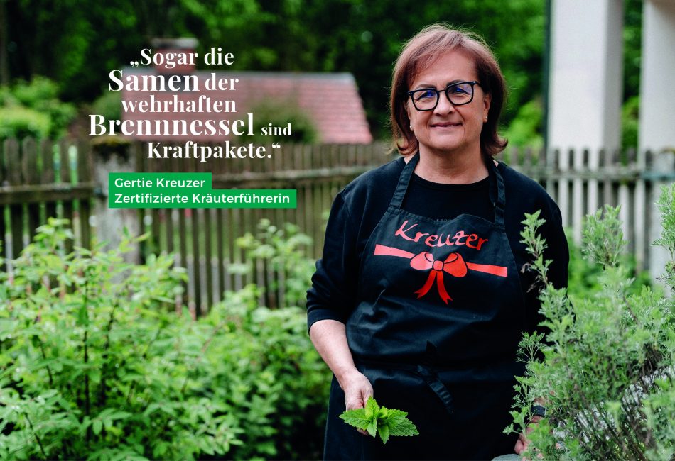 Displays-Website-Nr16