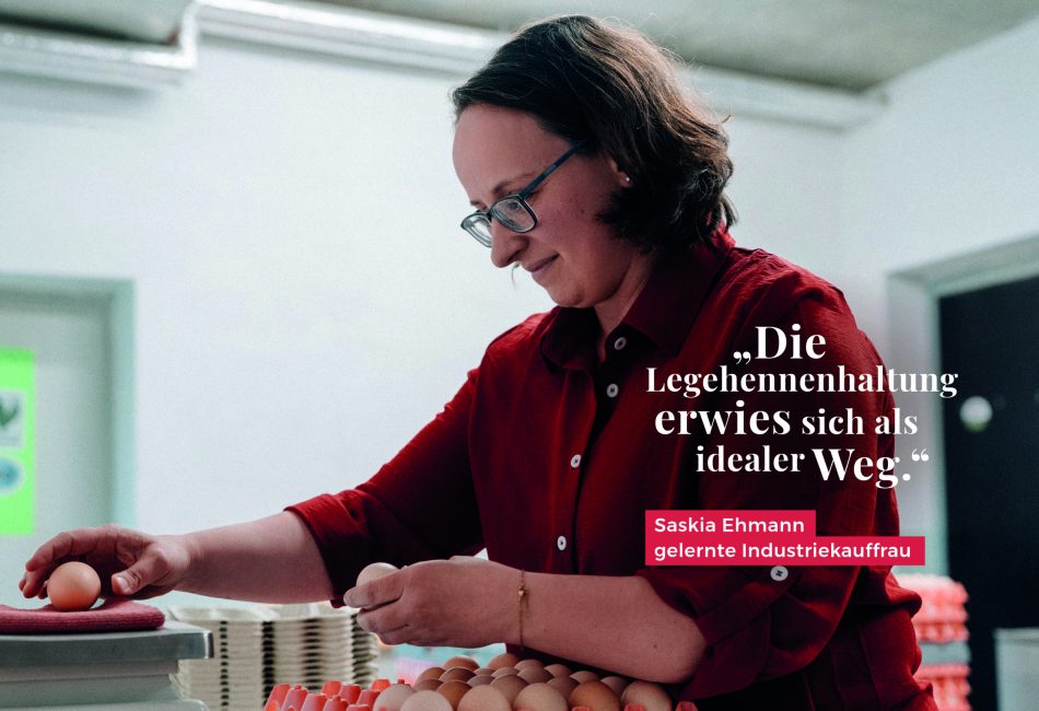 Displays-Website-Nr16
