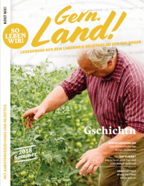 regionalmagazin-cover-so18